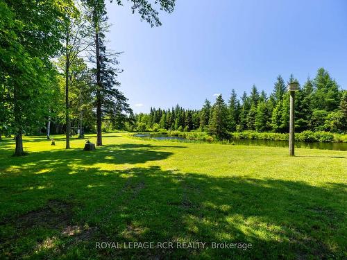 573042 Side Road 57A, Grey Highlands, ON - Outdoor With View