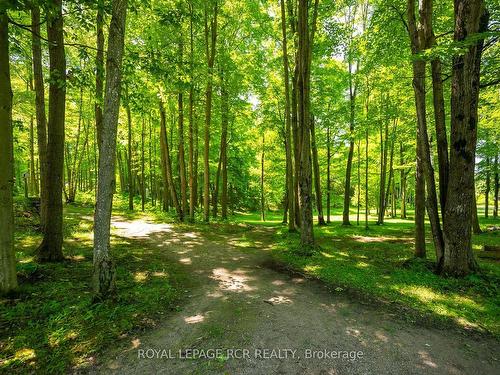 573042 Side Road 57A, Grey Highlands, ON - Outdoor