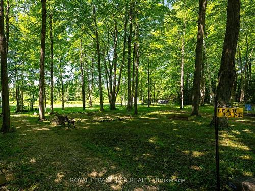 573042 Side Road 57A, Grey Highlands, ON - Outdoor