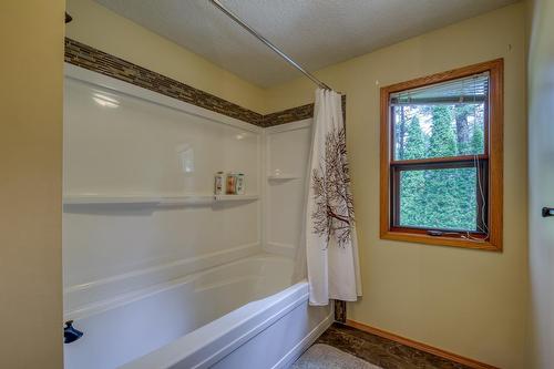 4889 Fairmont Creek Road, Fairmont Hot Springs, BC - Indoor Photo Showing Bathroom