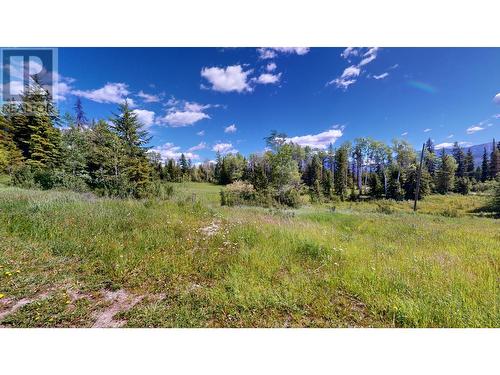 8468 Baher North Road, Sparwood, BC - Outdoor With View