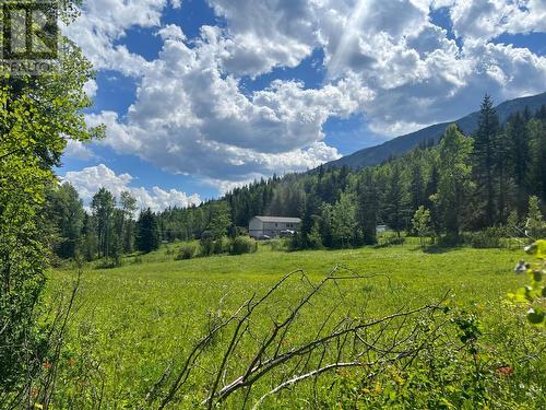 8468 Baher North Road, Sparwood, BC - Outdoor With View