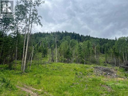 8468 Baher North Road, Sparwood, BC - Outdoor With View