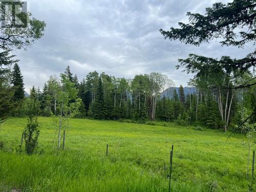 8468 Baher North Road, Sparwood, BC - Outdoor With View