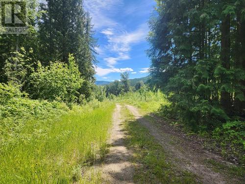 4248 Casino  Road, Trail, BC 