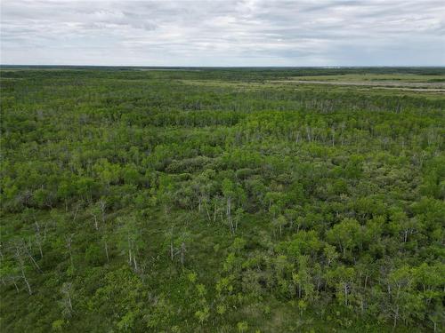 Amaranth, Manitoba 