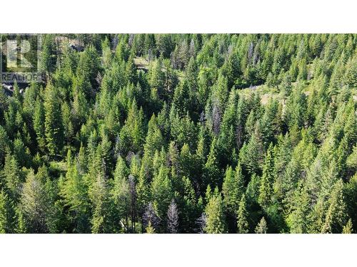 Lot 1826S Morrissey Creek Road, Grand Forks, BC 