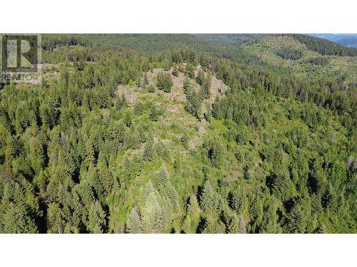 Lot 1826S Morrissey Creek Road, Grand Forks, BC 