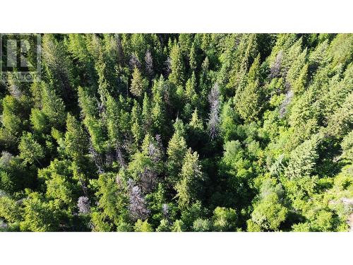 Lot 1826S Morrissey Creek Road, Grand Forks, BC 