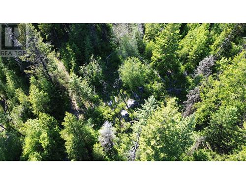 Lot 1826S Morrissey Creek Road, Grand Forks, BC 