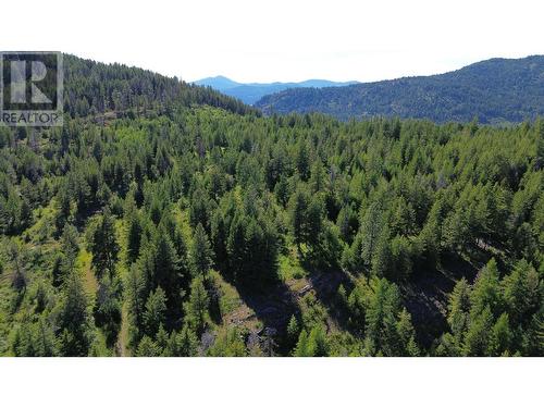 Lot 1826S Morrissey Creek Road, Grand Forks, BC 