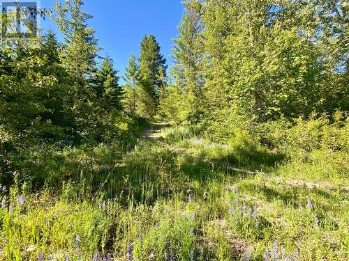 Lot 1826S Morrissey Creek Road, Grand Forks, BC 