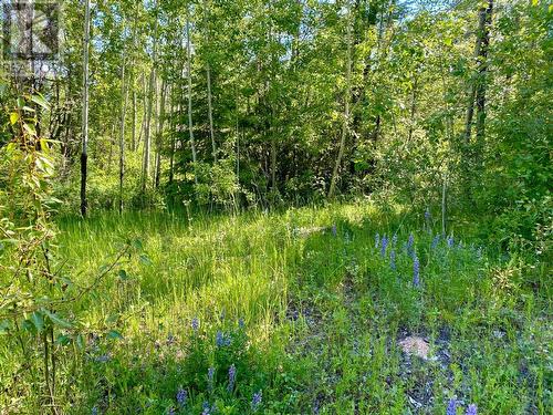 Lot 1826S Morrissey Creek Road, Grand Forks, BC 