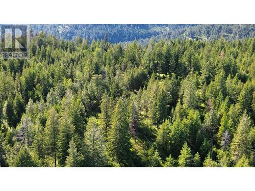 Lot 1826S Morrissey Creek Road, Grand Forks, BC 