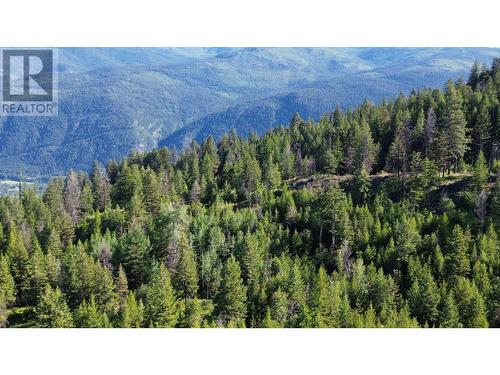 Lot 1826S Morrissey Creek Road, Grand Forks, BC 