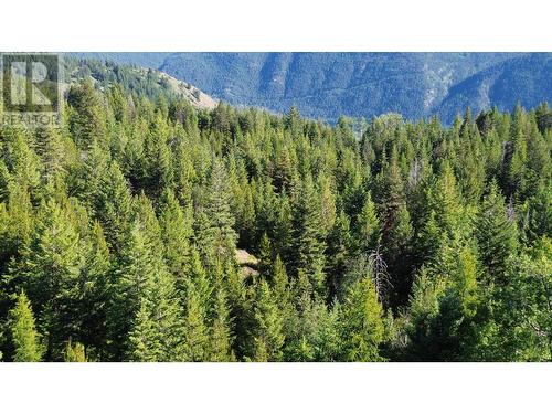 Lot 1826S Morrissey Creek Road, Grand Forks, BC 