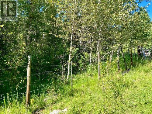 Lot 1826S Morrissey Creek Road, Grand Forks, BC 