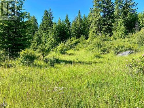 Lot 1826S Morrissey Creek Road, Grand Forks, BC 