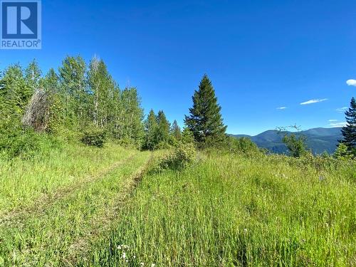 Lot 1826S Morrissey Creek Road, Grand Forks, BC 