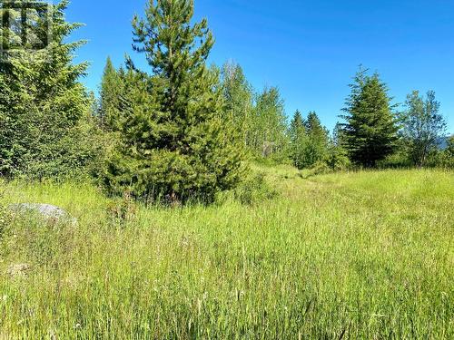 Lot 1826S Morrissey Creek Road, Grand Forks, BC 