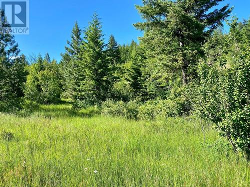 Lot 1826S Morrissey Creek Road, Grand Forks, BC 