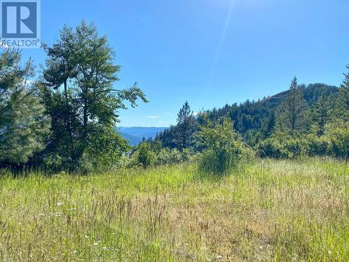 Lot 1826S Morrissey Creek Road, Grand Forks, BC 