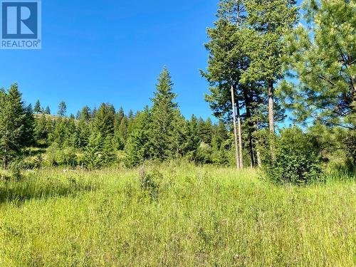 Lot 1826S Morrissey Creek Road, Grand Forks, BC 