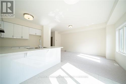 20 Dennis Avenue, Brantford, ON - Indoor Photo Showing Kitchen With Double Sink