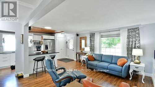 694 Hawley Street, Peterborough, ON - Indoor Photo Showing Living Room