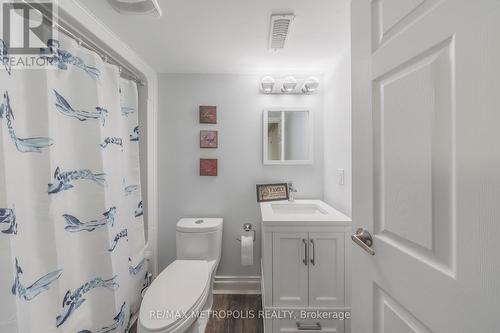 19 Hoard Avenue N, New Tecumseth, ON - Indoor Photo Showing Bathroom