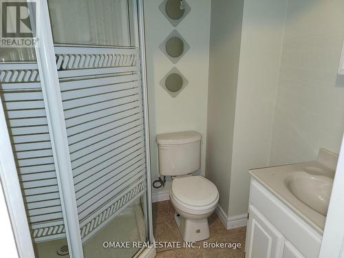 62 Raspberry Trail, Thorold, ON - Indoor Photo Showing Bathroom