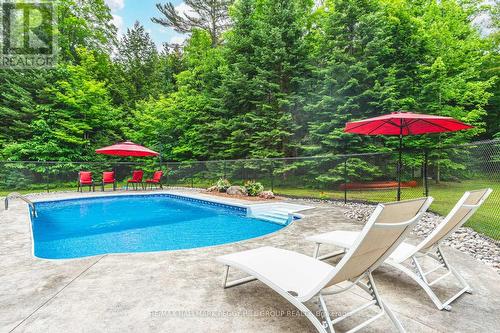 1225 Graham Road, Gravenhurst, ON - Outdoor With In Ground Pool With Deck Patio Veranda With Backyard