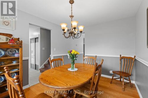 126 Jackson Avenue, Belleville, ON - Indoor Photo Showing Dining Room