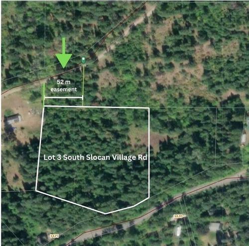 Lot 3 South Slocan Village Road, Nelson, BC 