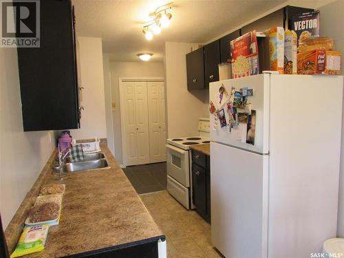 2 14 Anderson Crescent, Saskatoon, SK - Indoor Photo Showing Kitchen With Double Sink