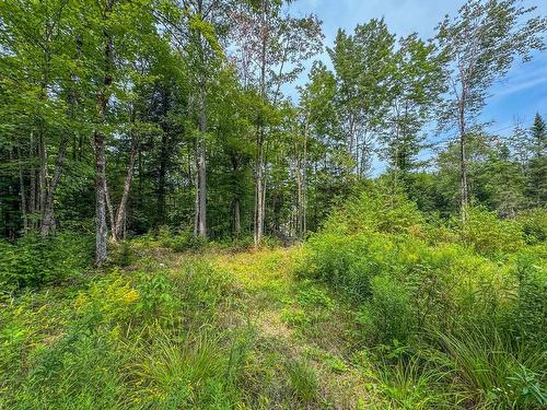 Land/Lot - Rue De Santa-Fe, Grenville-Sur-La-Rouge, QC 