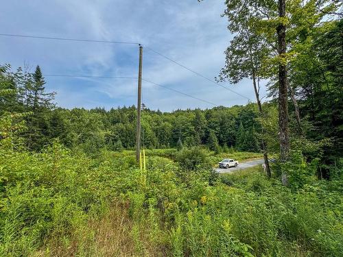 Land/Lot - Rue De Santa-Fe, Grenville-Sur-La-Rouge, QC 