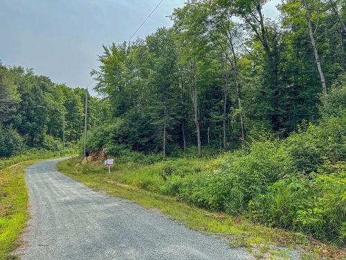 Land/Lot - Rue De Santa-Fe, Grenville-Sur-La-Rouge, QC 