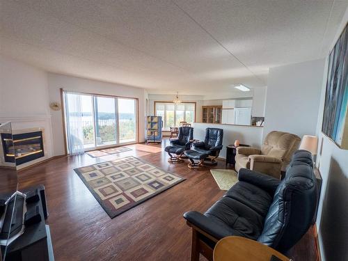 1300 - 203 Huron Street, Keewatin, ON - Indoor Photo Showing Living Room With Fireplace