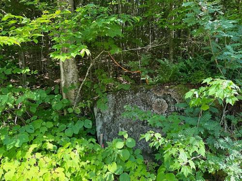 Autre - Mtée De La Source, Sainte-Agathe-Des-Monts, QC 