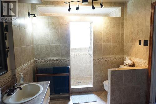 884342 Highway 65 W, Temiskaming Shores, ON - Indoor Photo Showing Bathroom