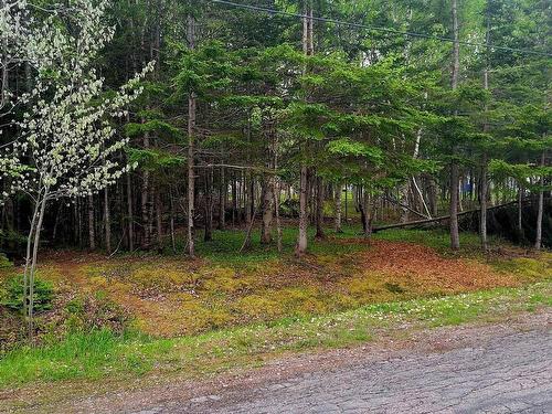 No # Calabash Road, Southside Boularderie, NS 