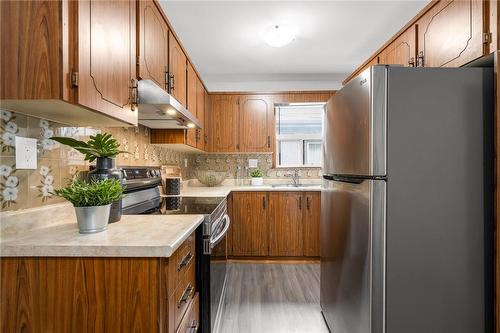 107 Niagara Street, Hamilton, ON - Indoor Photo Showing Kitchen With Double Sink
