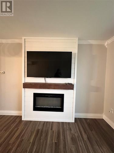 12 Levis Road, Creston South, NL - Indoor Photo Showing Living Room With Fireplace