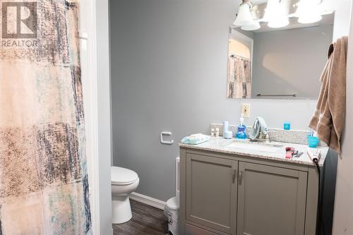 650 Main Road, Fogo Island(Shoal Bay), NL - Indoor Photo Showing Bathroom