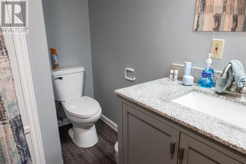 650 Main Road, Fogo Island(Shoal Bay), NL - Indoor Photo Showing Bathroom