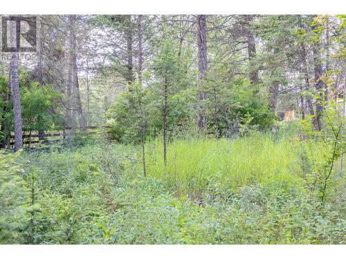 Lot B Columbia View  Road, Fairmont Hot Springs, BC 