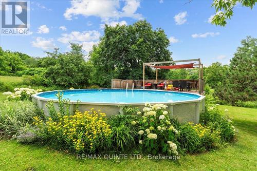 45 James Street, Prince Edward County, ON - Outdoor With Above Ground Pool With Backyard
