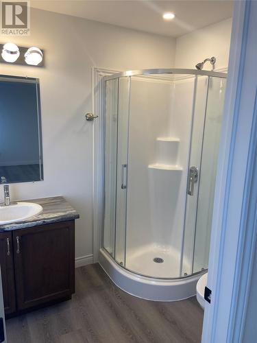 12 Chambers Cove Avenue, Mount Pearl, NL - Indoor Photo Showing Bathroom