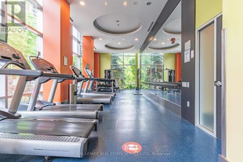 2008 - 17 Anndale Drive, Toronto, ON - Indoor Photo Showing Gym Room